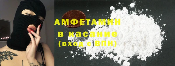 крисы Абаза