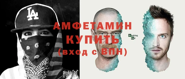 крисы Абаза