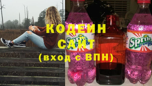 крисы Абаза
