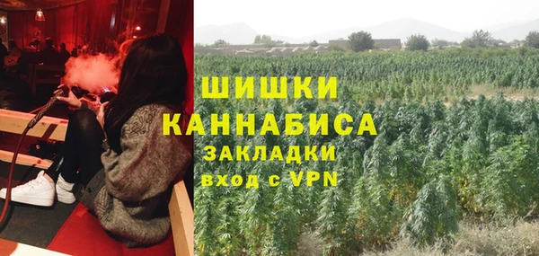 крисы Абаза