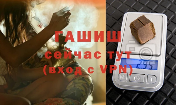 крисы Абаза