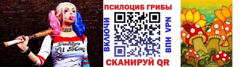 что такое наркотик  Талдом  mega как войти  Псилоцибиновые грибы мицелий 
